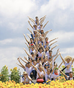 nat-thang-thien-duong-conphung-ben-tre-dulichmietvuon.com_.vn3_