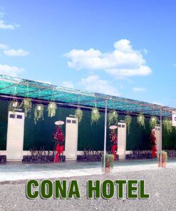 cona htel con phung ben tre 2