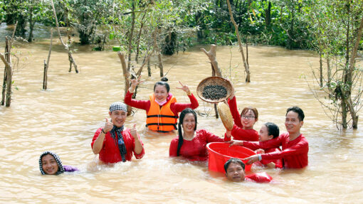 tour bong bong vung xanh con phung