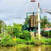 dao dua con phung ben tre