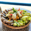 hoa ban va luc binh con phung ben tre