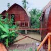 homestay-con-phung-ben-tre