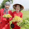 rai rau tren con phung ben tre