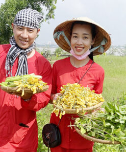 rai rau tren con phung ben tre